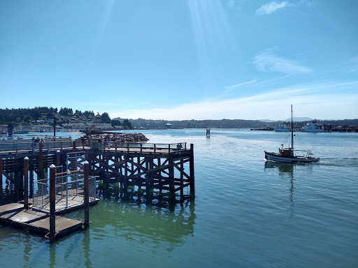 Coffee Shop «Bayscapes Gallery & Coffee house», reviews and photos, 333 SW Bay Blvd, Newport, OR 97365, USA