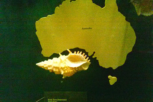 Natural History Museum «Fernbank Museum of Natural History», reviews and photos, 767 Clifton Rd, Atlanta, GA 30307, USA