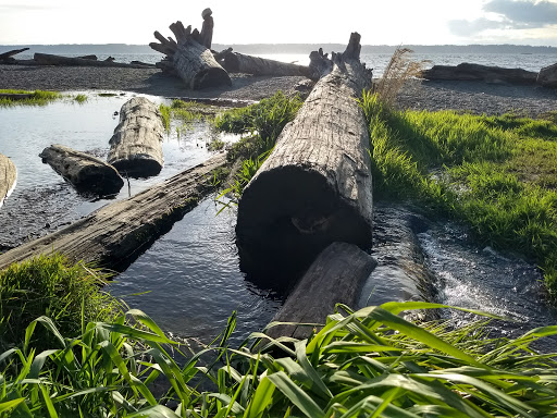 Park «Seahurst Park», reviews and photos, 1600 SW Seahurst Park Rd, Burien, WA 98166, USA