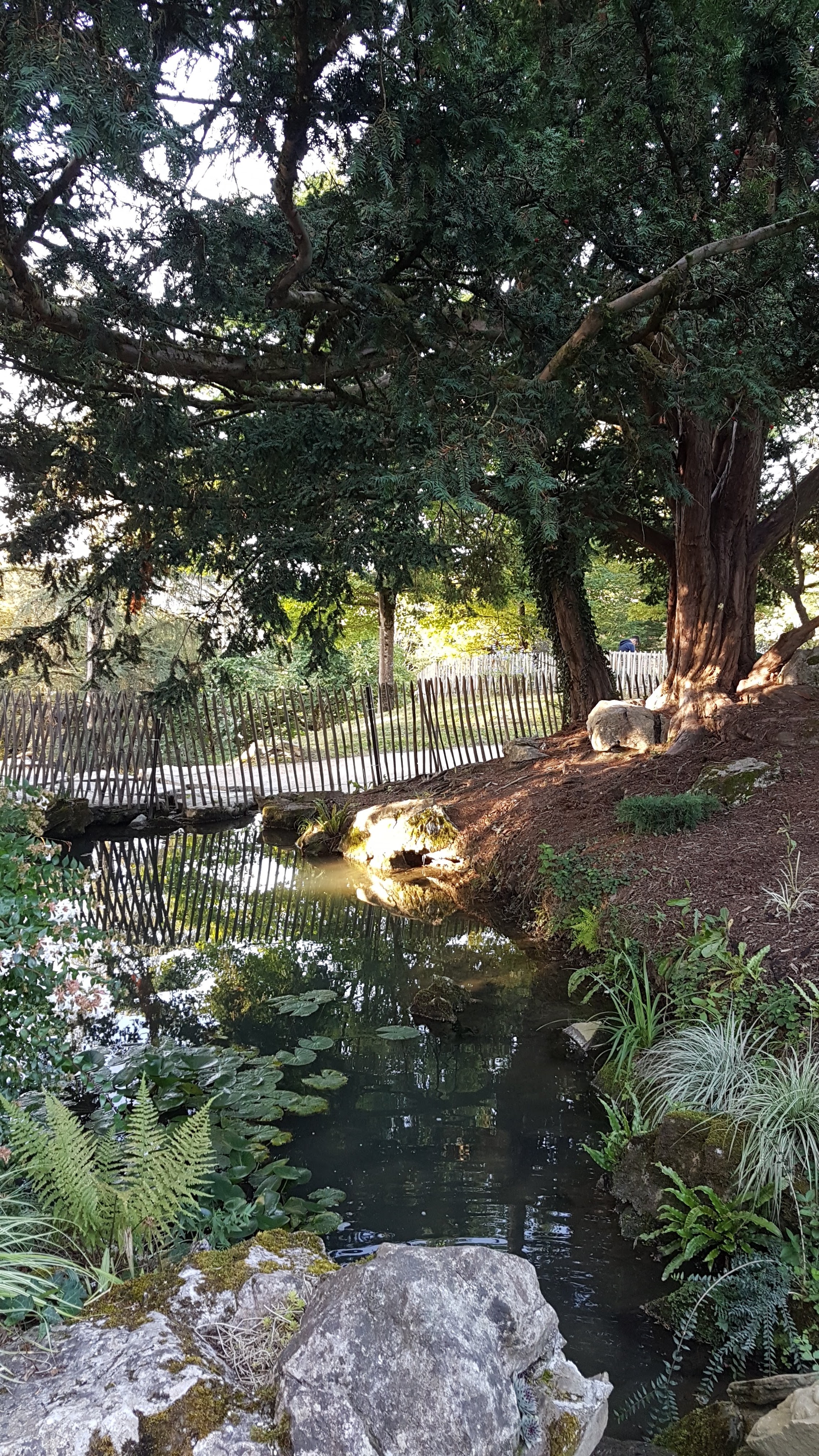 Photo n° 4 de l'avis de Séverine.o fait le 01/10/2019 à 06:38