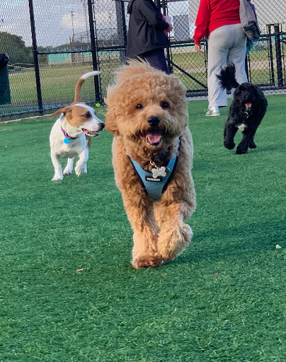 Park «Newbridge Rd Park», reviews and photos, 2600 Newbridge Rd, Bellmore, NY 11710, USA