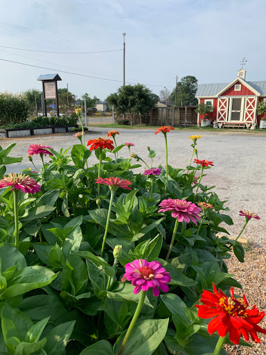 Economy Feed & Seed Store