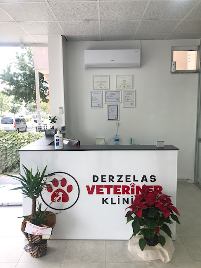 Derzelas Veteriner Kliniği