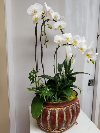 Florist «Yorba Linda Flowers», reviews and photos, 909 E Yorba Linda Blvd h, Placentia, CA 92870, USA