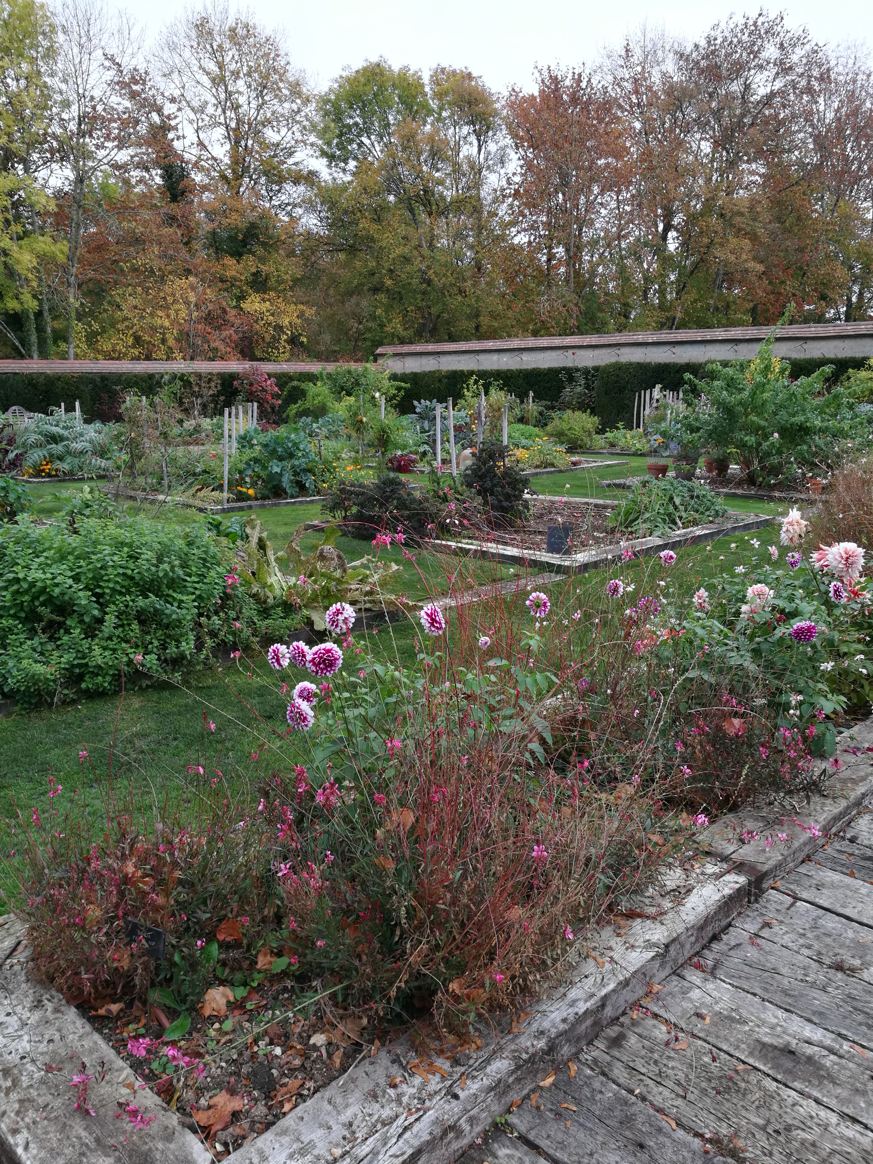 Photo n° 1 de l'avis de Johanna.o fait le 26/10/2018 à 16:13
