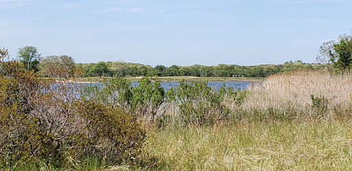 Golf Course «Indian Island Golf Course», reviews and photos, 661 Riverside Dr, Riverhead, NY 11901, USA