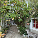 Photo n°4 de l'avis de Nicolette. fait le 22/12/2023 à 11:50 sur le  Casa Stardust à Faro