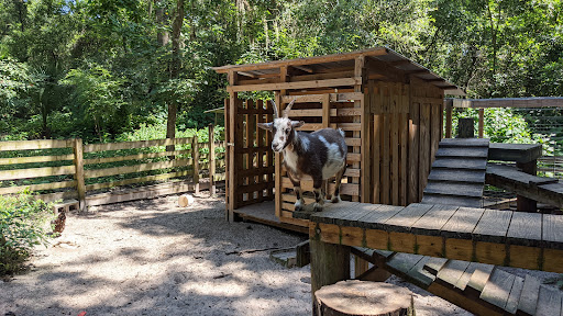 Nature Preserve «Tree Hill Nature Center», reviews and photos, 7152 Lone Star Rd, Jacksonville, FL 32211, USA