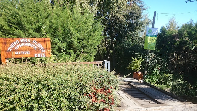 Opiniones de Vivero Miraflores Chillán en Chillán - Centro de jardinería