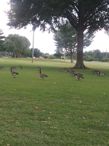 Golf Driving Range «Riverside Golf Center», reviews and photos, 640 Old Hickory Blvd, Old Hickory, TN 37138, USA