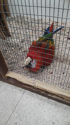 Pet Store «Fin-N-Feather», reviews and photos, 2931 F St, Eureka, CA 95501, USA