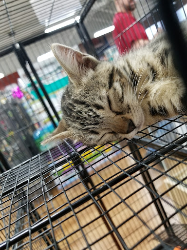 Pet Supply Store «Pet Supermarket, Inc.», reviews and photos, 9294 Kingston Pike, Knoxville, TN 37922, USA
