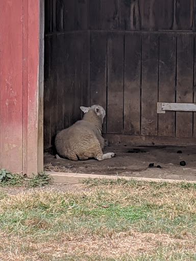 Farm «Clarks Elioak Farm LLC», reviews and photos, 10500 Clarksville Pike, Ellicott City, MD 21042, USA