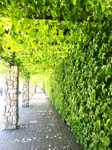 Club «StoneTree Golf Club (A Bay Club Property)», reviews and photos, 9 Stone Tree Ln, Novato, CA 94945, USA