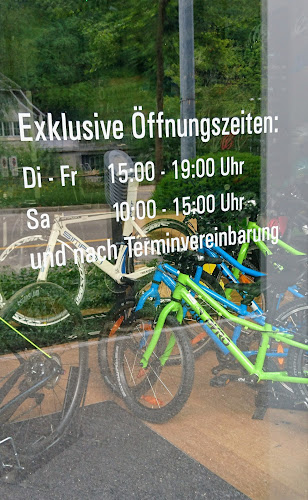 Rezensionen über Veloplace - PedaleGmbH in Schaffhausen - Fahrradgeschäft