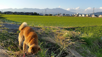 佐久平興農ライスセンター