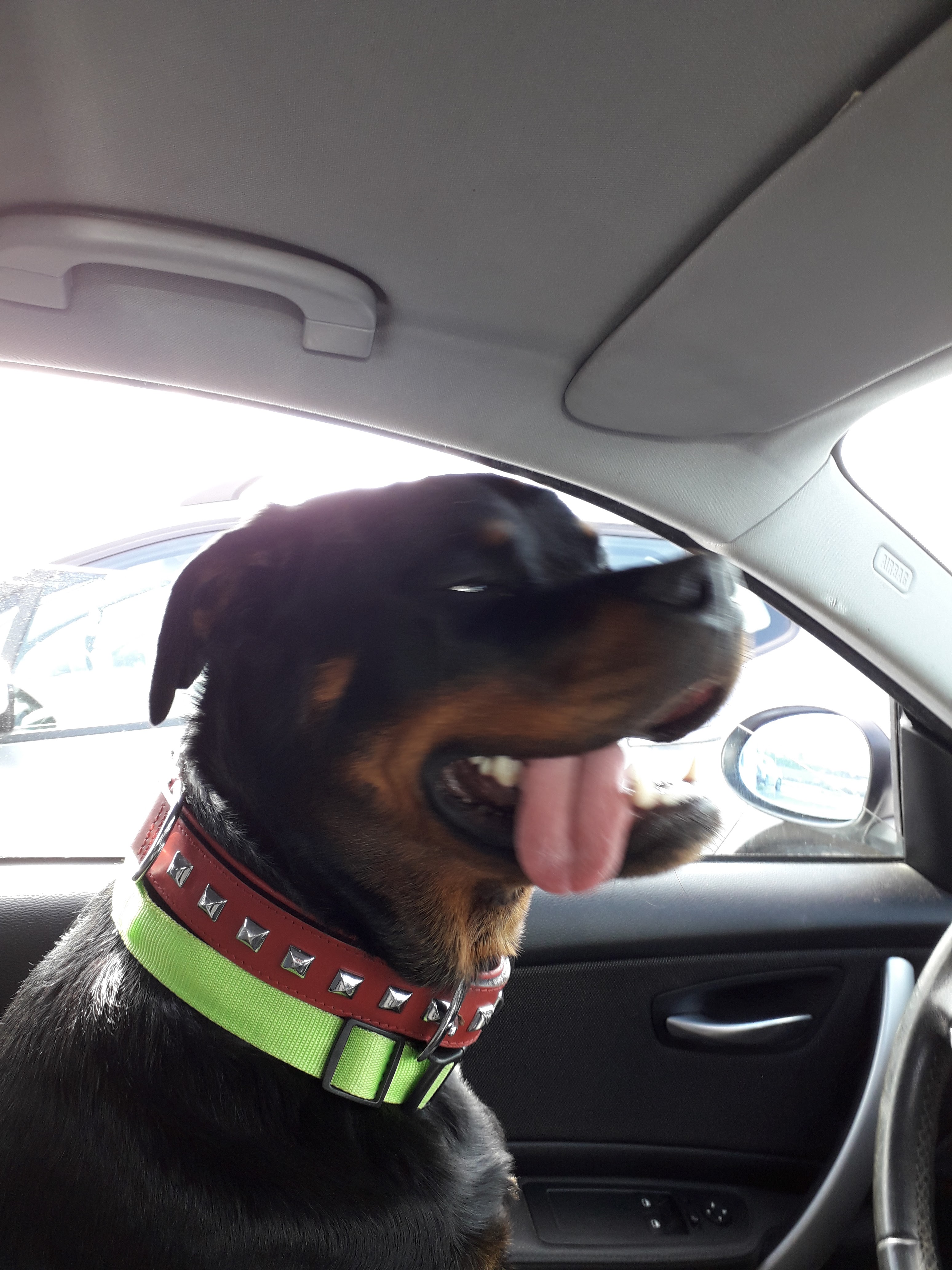 Photo n° 1 de l'avis de maryse.u fait le 18/04/2019 à 18:17