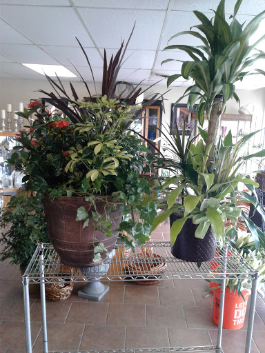 Florist «Oak Hills Florist», reviews and photos, 1729 Babcock Rd, San Antonio, TX 78229, USA