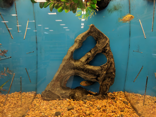 Pet Supply Store «PetSmart», reviews and photos, 1297 Promenade Pl, Eagan, MN 55121, USA