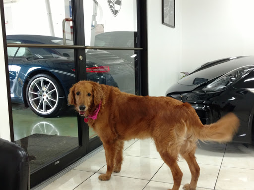 Used Car Dealer «Millenia Motors Inc», reviews and photos, 1020 Charles St, Longwood, FL 32750, USA