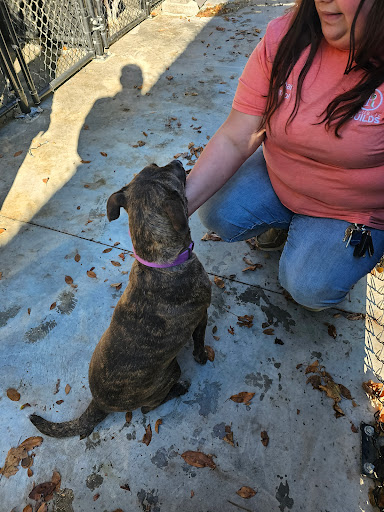 Republic Animal Control