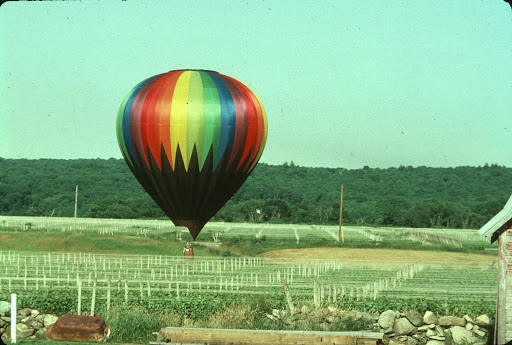 Vineyard «Westport Rivers Vineyard», reviews and photos, 417 Hixbridge Rd, Westport, MA 02790, USA