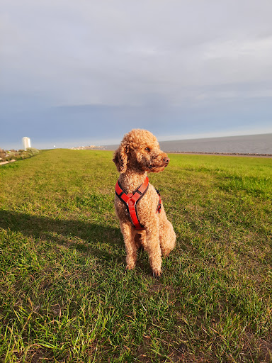 Tierarztpraxis Wagrien unter Lensahn, Schleswig-Holstein