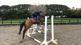 Maria Miller Equestrian Academy