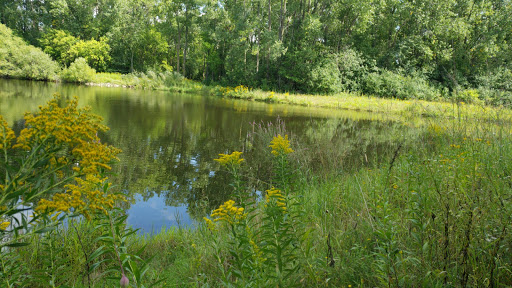 Park «Evergreen West Park», reviews and photos, 1033 Tamberwood Trail, St Paul, MN 55125, USA