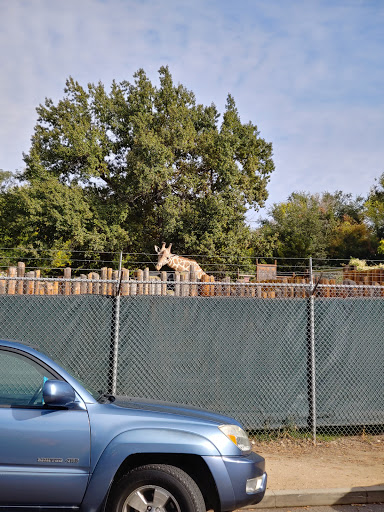 Grocery Store «Albertsons», reviews and photos, 3301 W Cherry Ln, Meridian, ID 83642, USA