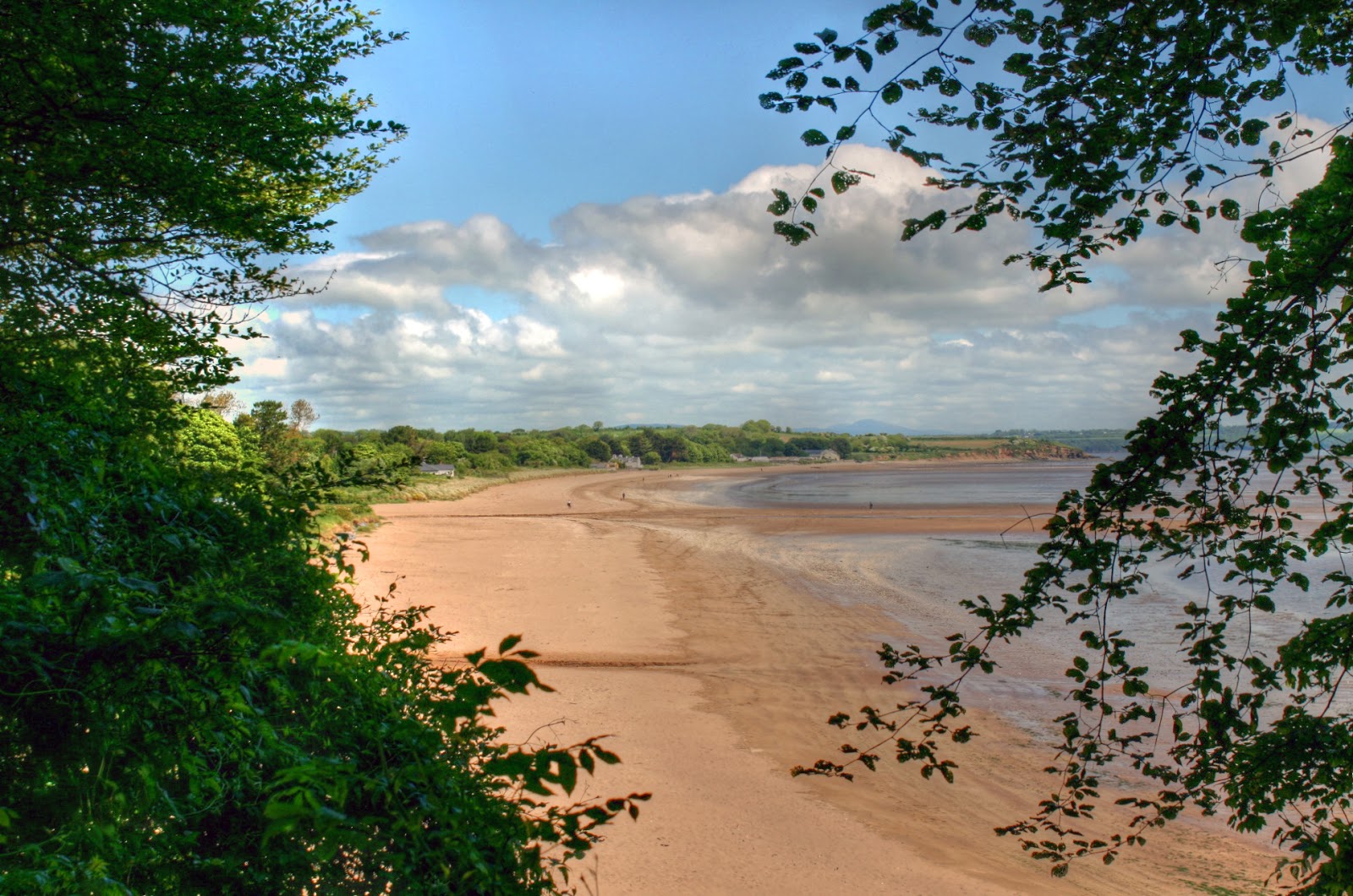 Foto van Woodstown Beach met turquoise puur water oppervlakte