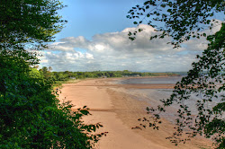 Photo de Woodstown Beach avec rivage droit, long