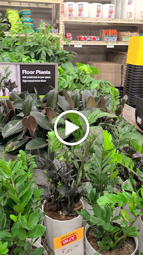 Home Improvement Store «The Home Depot», reviews and photos, 12 Commercial Dr, Somersworth, NH 03878, USA