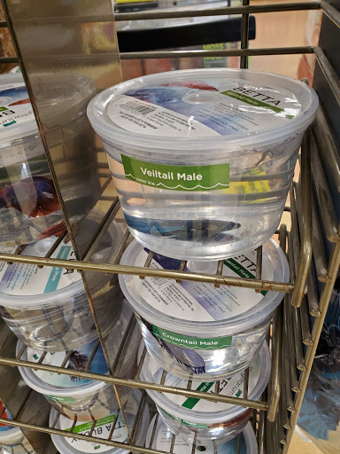 Pet Supply Store «Petco Animal Supplies», reviews and photos, 317 E Trenton Rd, Edinburg, TX 78539, USA