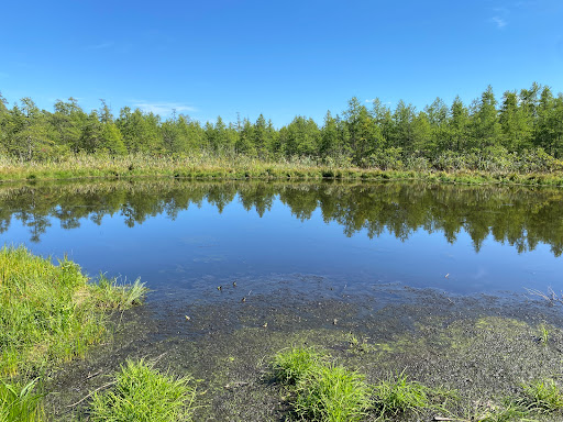 Nature Preserve «Volo Bog», reviews and photos, 28478 W Brandenburg Rd, Ingleside, IL 60041, USA