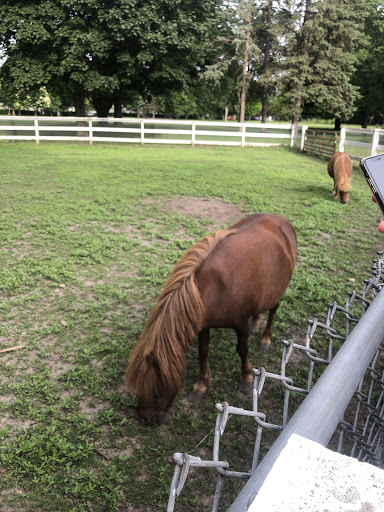 Zoo «Sibley Farm», reviews and photos, 900 Mound Avenue, Mankato, MN 56001, USA