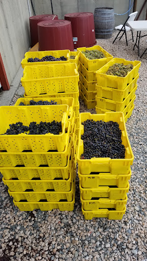 Winery «Running Brook Vineyard & Winery», reviews and photos, 335 Old Fall River Rd, North Dartmouth, MA 02747, USA