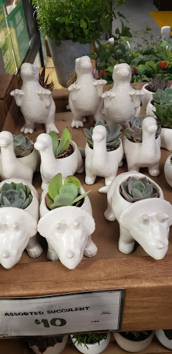 Health Food Store «Sprouts Farmers Market», reviews and photos, 225 E 17th St, Costa Mesa, CA 92627, USA