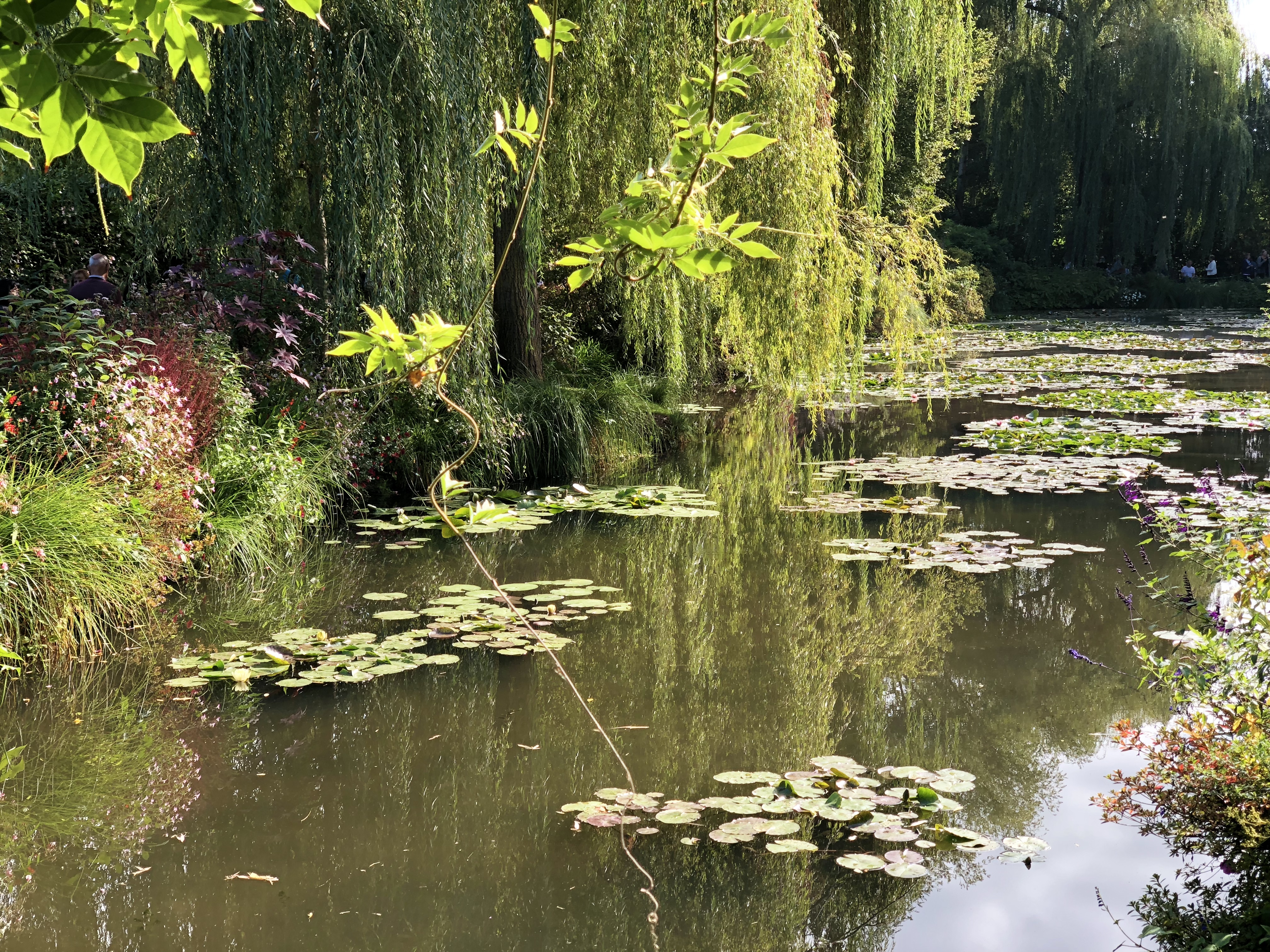 Photo n° 8 de l'avis de Igor.a fait le 25/10/2018 à 12:29