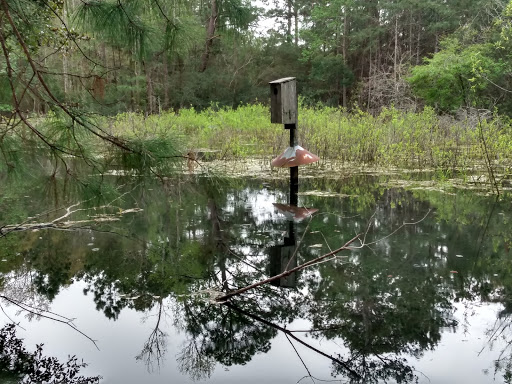 Park «Coursen Tate Park», reviews and photos, 9 Springfield Rd, Beaufort, SC 29907, USA