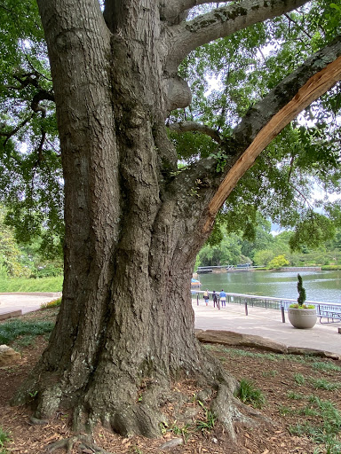 Park «Pullen Park», reviews and photos, 408 Ashe Ave, Raleigh, NC 27606, USA