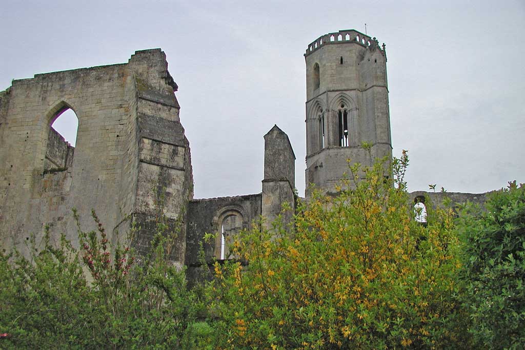 Photo n° 1 de l'avis de Dominique.a fait le 22/06/2021 à 15:55