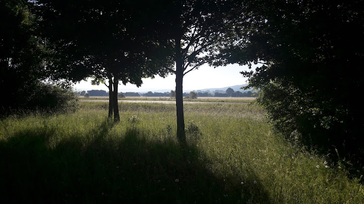 Photo Ferienwohnung Maintalhof - Familie Brunner, Rattelsdorf - 96179 Rattelsdorf
