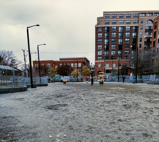 Dog Park «Clarendon Dog Park», reviews and photos, 1299 N Herndon St, Arlington, VA 22201, USA