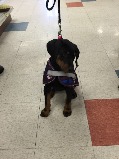 Pet Supply Store «Stoltzfus Feed & Supply», reviews and photos, 80 PA-41, Gap, PA 17527, USA