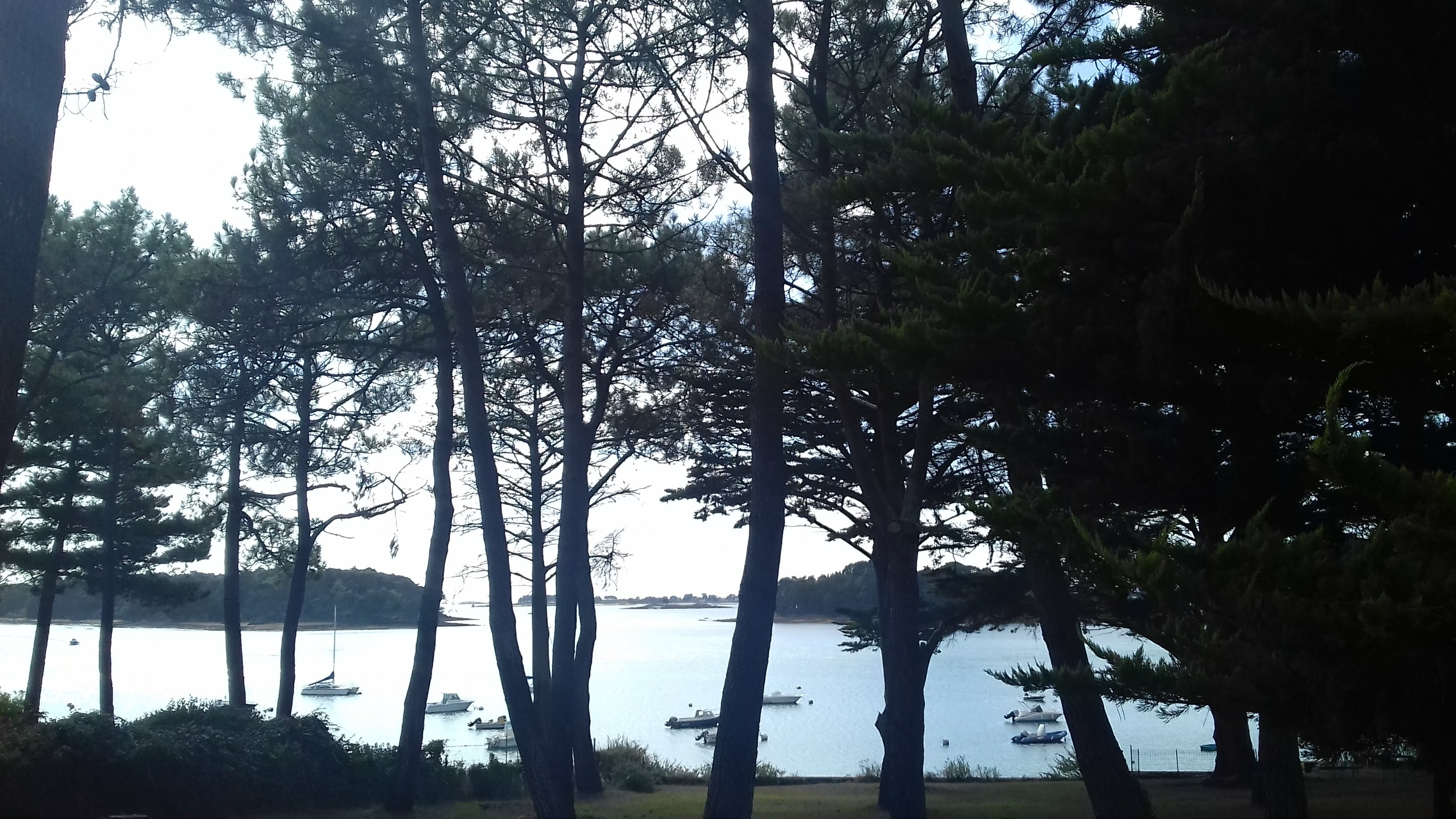 Photo n° 3 de l'avis de Michele.o fait le 01/10/2018 à 14:04