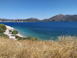 Foto von Panagitsa beach mit kleine bucht