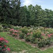 Brookdale Park Rose Garden