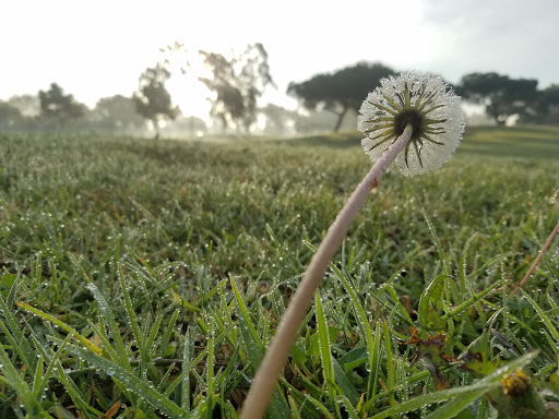 Golf Course «Bixby Village Golf Course», reviews and photos, 6180 Bixby Village Dr, Long Beach, CA 90803, USA