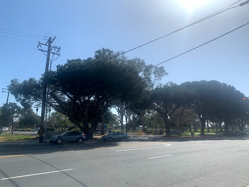 Asian Grocery Store «Datmoi Market», reviews and photos, 14415 Crenshaw Blvd, Gardena, CA 90249, USA